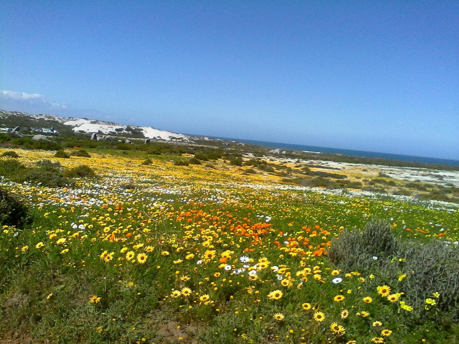 Paters Haven Self-Catering And B&B Paternoster Exterior photo